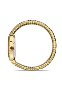 Momentus SS256G-02SG Bayan Kol Saati