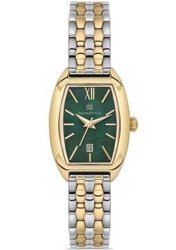 Momentus CW310T-15SG Bayan Kol Saati