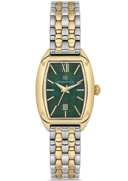 Momentus CW310T-15SG Bayan Kol Saati