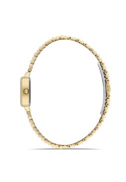 Momentus CW312G-08SG Bayan Kol Saati