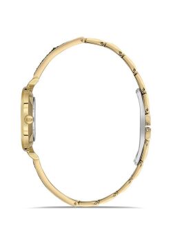 Momentus SW274G-15SG Kadın Kol Saati