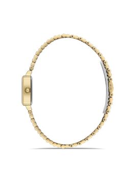 Momentus CW312G-02SG Bayan Kol Saati