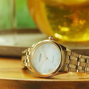 Citizen EM1143-81X Eco-Drive Bayan Kol Saati