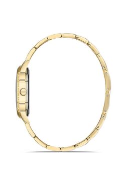 Momentus SW291G-02SG Bayan Kol Saati