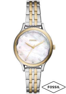 Fossil FBQ3864 Bayan Kol Saati
