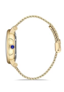 Hislon SD104G-16SG Automatıc Erkek Kol Saati