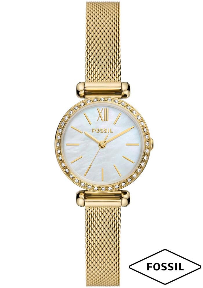 Fossil FBQ3898 Bayan Kol Saati