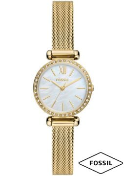 Fossil FBQ3898 Bayan Kol Saati