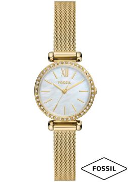 Fossil FBQ3898 Kadın Kol Saati