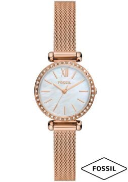 Fossil FBQ3897 Bayan Kol Saati
