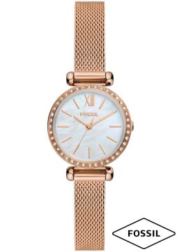 Fossil FBQ3897 Bayan Kol Saati