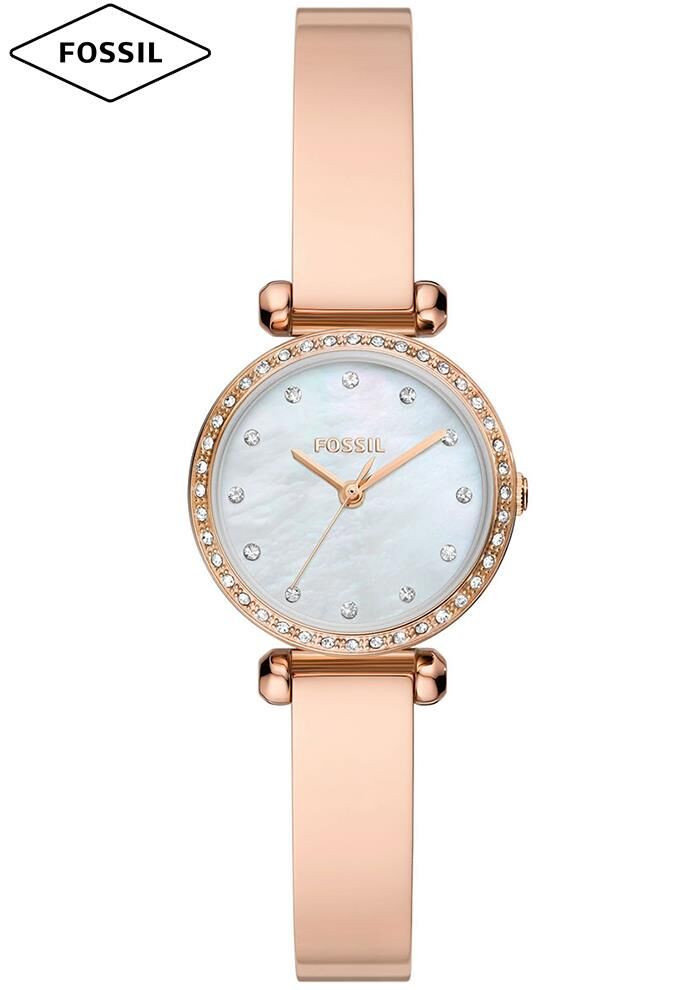 Fossil FBQ3894 Bayan Kol Saati