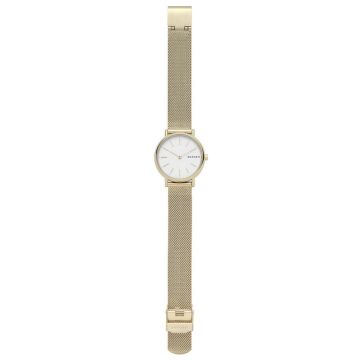 Skagen SKW2693 Bayan Kol Saati