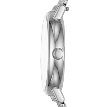 Skagen SKW2692 Bayan Kol Saati