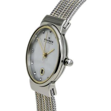 Skagen SKA355SSGS Bayan Kol Saati