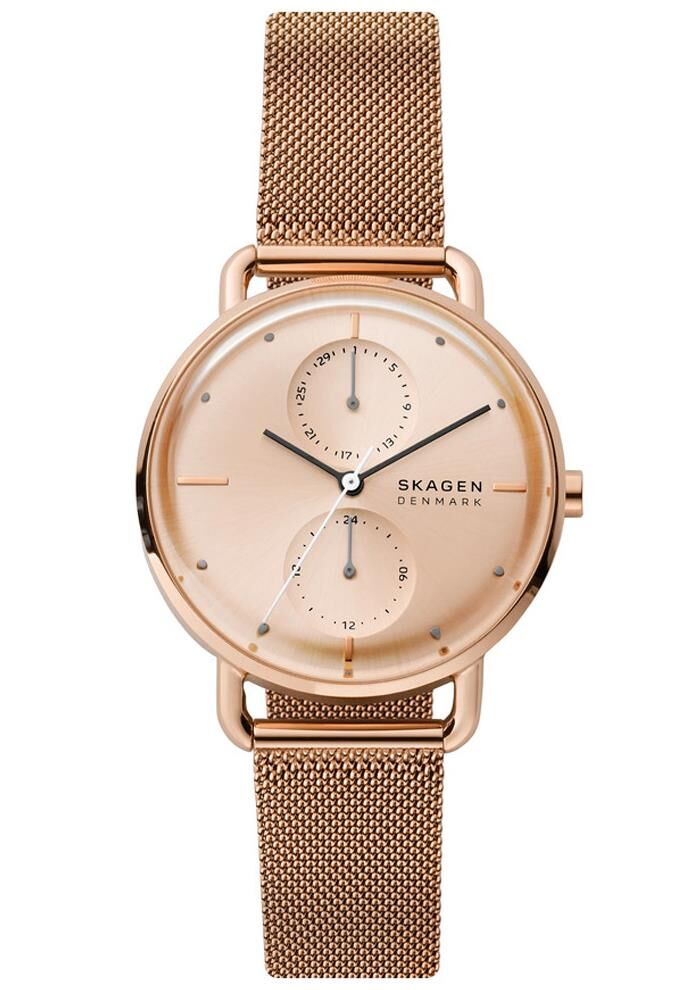 Skagen SKW2931 Bayan Kol Saati