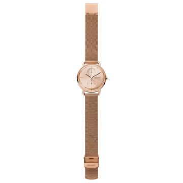 Skagen SKW2931 Bayan Kol Saati