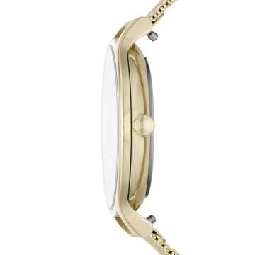 Skagen SKW2907 Bayan Kol Saati