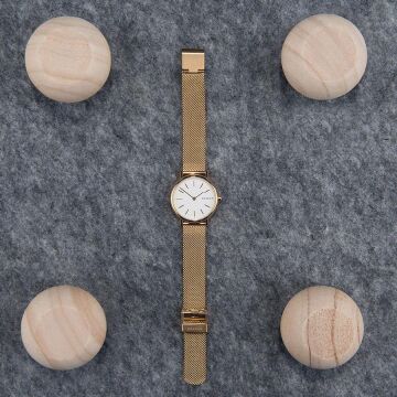Skagen SKW2694 Bayan Kol Saati