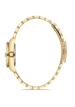 Momentus SW135G-02SG Bayan Kol Saati