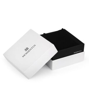 Momentus KC252S-02BS Erkek Kol Saati