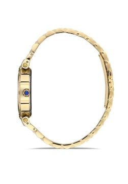 Momentus CS381G-02SG Bayan Kol Saati