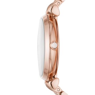 Emporio Armani AR11244 Bayan Kol Saati