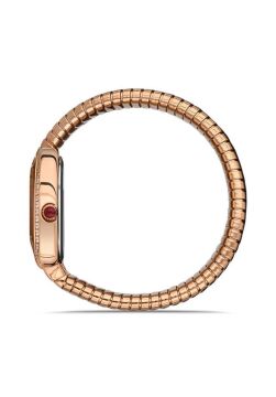 Momentus SS256R-02SR Bayan Kol Saati