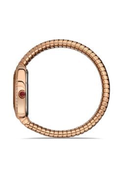 Momentus SS256R-02SR Bayan Kol Saati